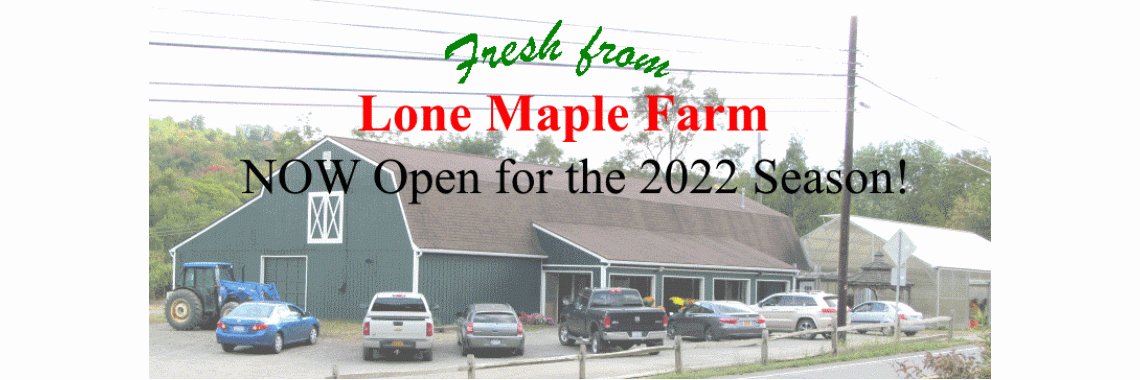 Lone Maple Farm Opening Date